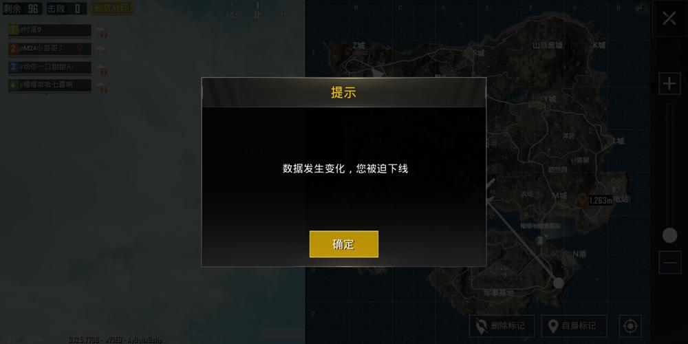 和平精英「雪花」直装辅助